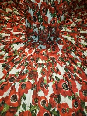 Dolce & Gabbana Iconic Red Poppy Print Vibrant Green Red Black Maxi Dress